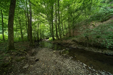 Natur pur