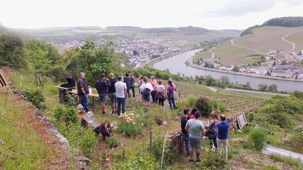 Wildes Kochen im Weinberg (1)