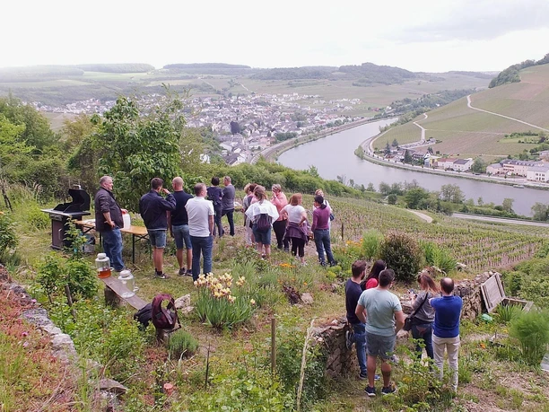 Wildes Kochen im Weinberg (1)