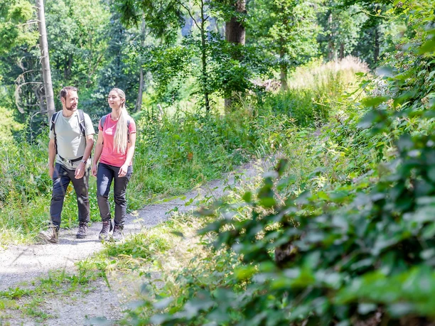 Oberhalb von Einruhr