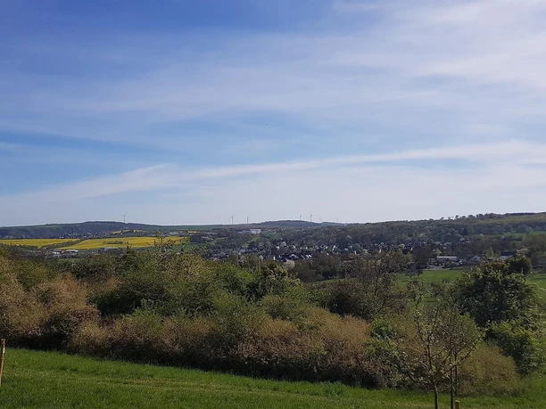 Aublick über die Streuobstwiesen nach Kottenheim
