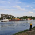 Der Rhein, bedeutender Transportweg für die Wirtsc