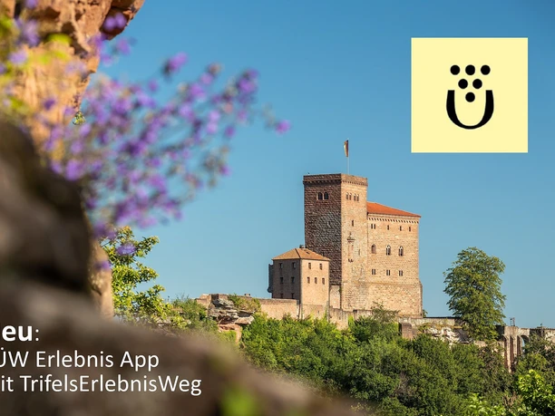 Reichsburg Trifels