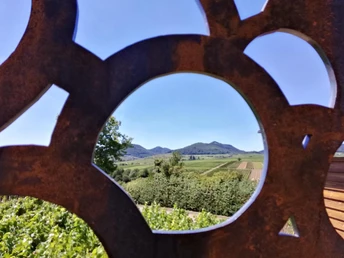 Kalmitwingert - Schönste Weinsicht der Pfalz 2020