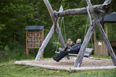 Panoramaschaukel Traumschleife Domblick