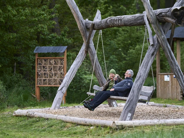 Panoramaschaukel Traumschleife Domblick