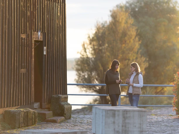 Rheingau Geflüster_Oestricher Kran