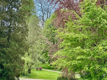 Alter Botanischer Garten - Marburg