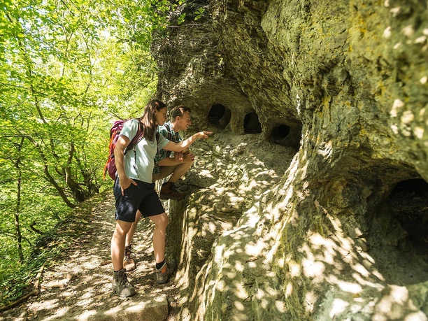 Blick in die Höhlen