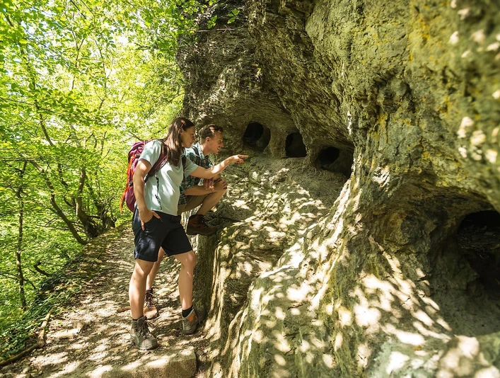 Blick in die Höhlen