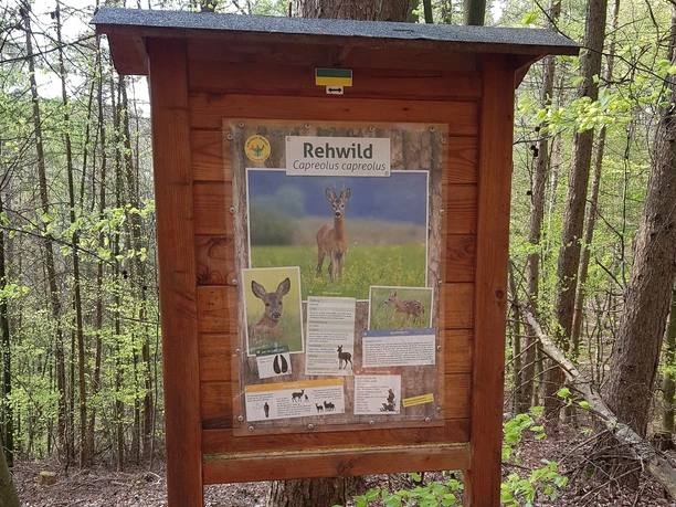 Infotafel am Waldlehrpfad