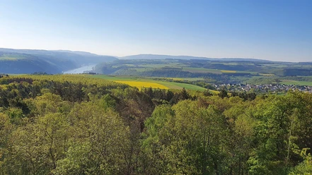 Turm Spitzer Stein Aussicht Oberwesel