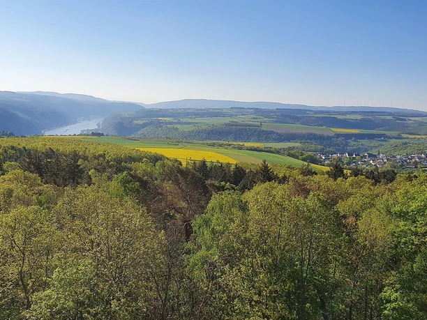 Turm Spitzer Stein Aussicht Oberwesel