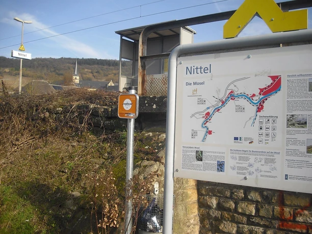 Nittel (1)