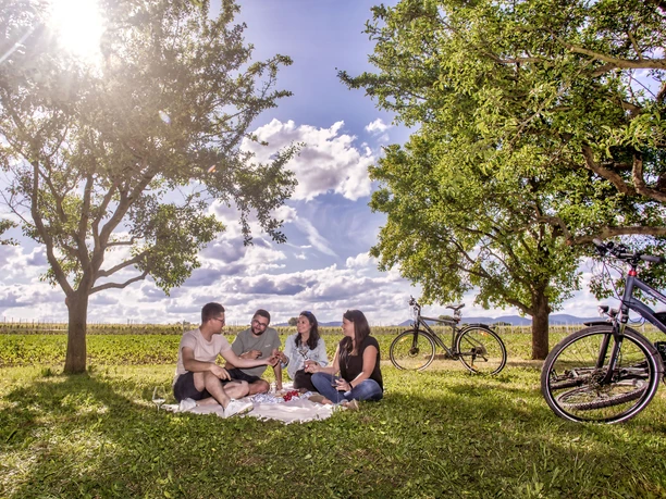 Picknick entlang der Radstrecke mit Blick über die weite Landschaft