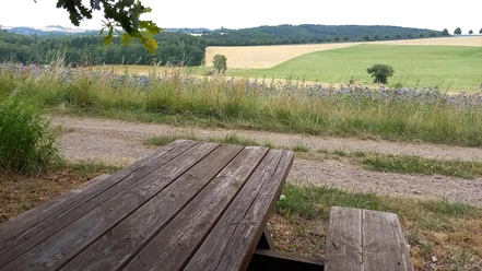 Picknickbank mit Fernblick