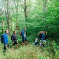 Wandergruppe im Wald