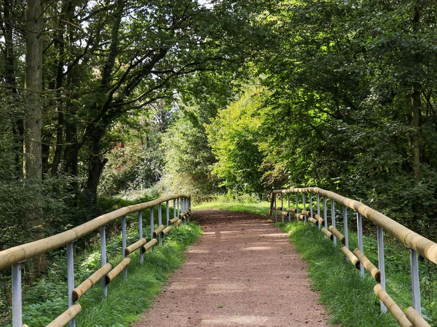 Spazierweg Warsberg (1)
