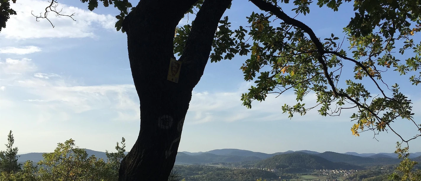 Ausblick Wasgaublick Ausblick Wasgaublick