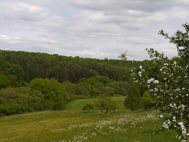 Blick in Richtung Habenscheid