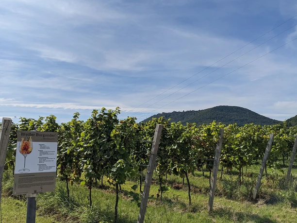 Blick zur Madenburg