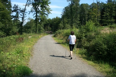 Ski-Langlauf und Nordic-Walking Breitscheid 1