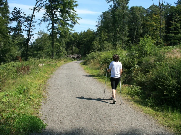 Ski-Langlauf und Nordic-Walking Breitscheid 1