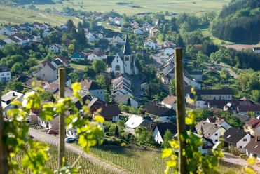 Blick auf Ockfen