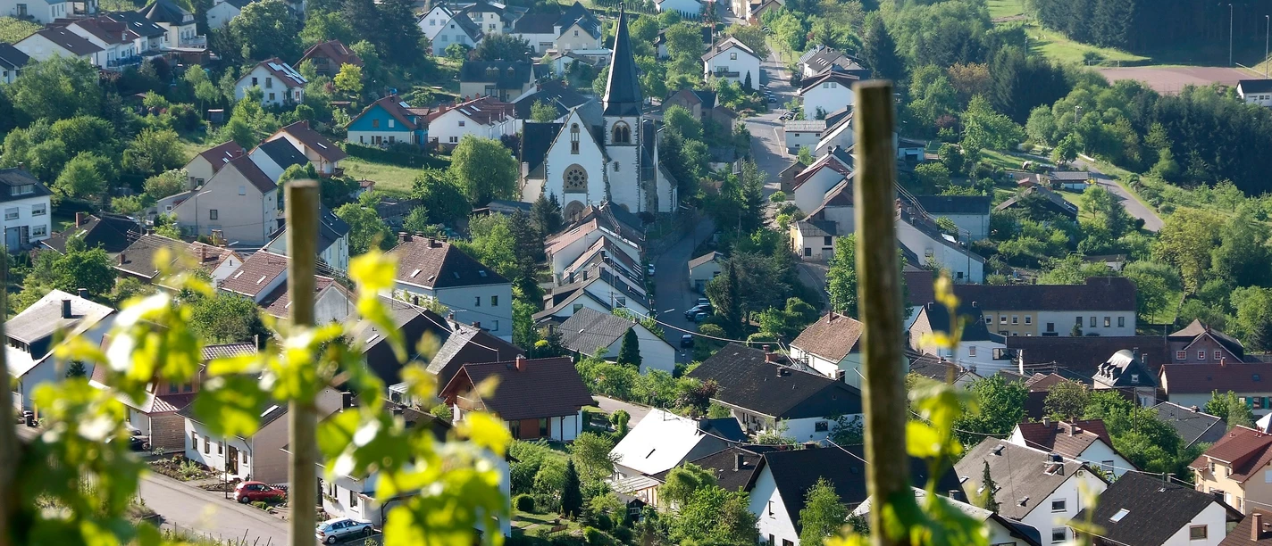 Blick auf Ockfen