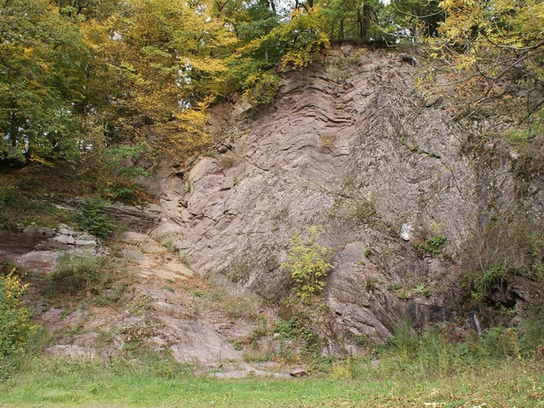 Gesteinsfalte