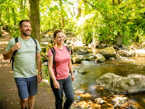 Wandern im Rausherpark