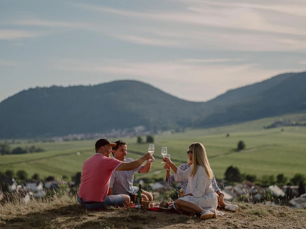 Picknick auf der Kleinen Kalmit