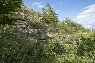 Steinbuch Mechernich-Berg