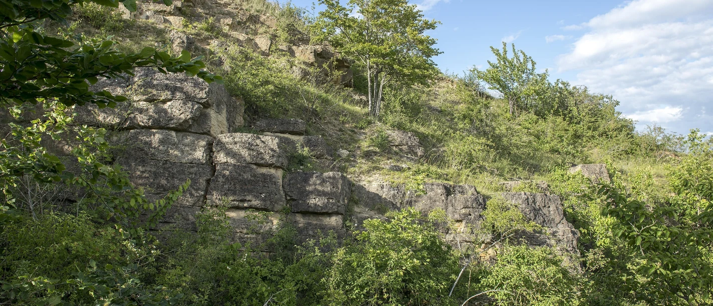 Steinbuch Mechernich-Berg