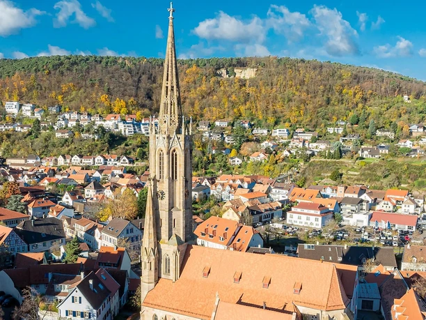 Schlosskirche mit Pfälzerwald im Hintergrund