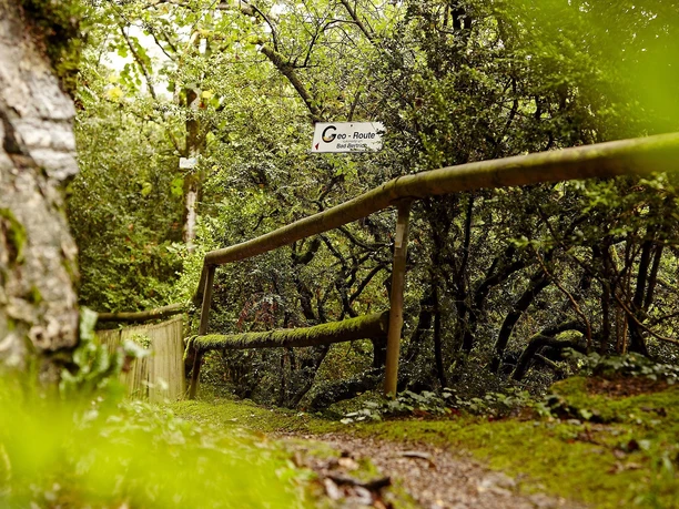 im Palmberg Bad Bertrich an der Geo-Route
