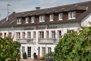 Weingut Boesen Palzem (1)