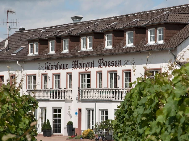 Weingut Boesen Palzem (1)