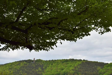 Sicht auf den Kaiser-Wilhelm-Turm Marburg