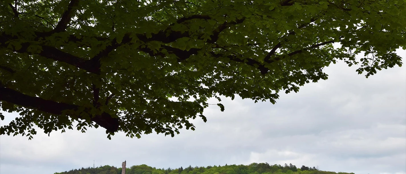 Sicht auf den Kaiser-Wilhelm-Turm Marburg