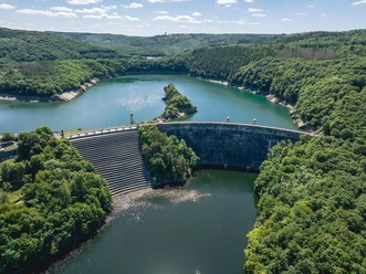 Blick auf die Urfttalperrre im Nationalpark Eifel