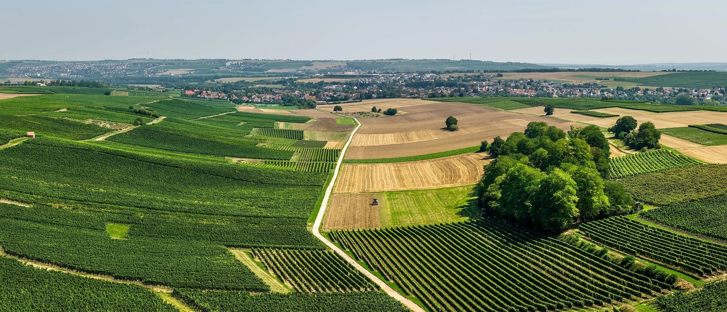 Selztalblick
