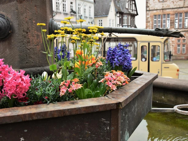 Marktplatz mit Schlossbus im Hntergrund