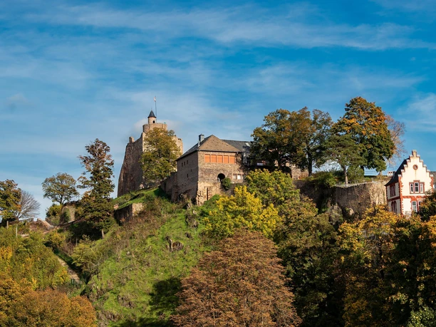 Burganlage Saarburg (3)