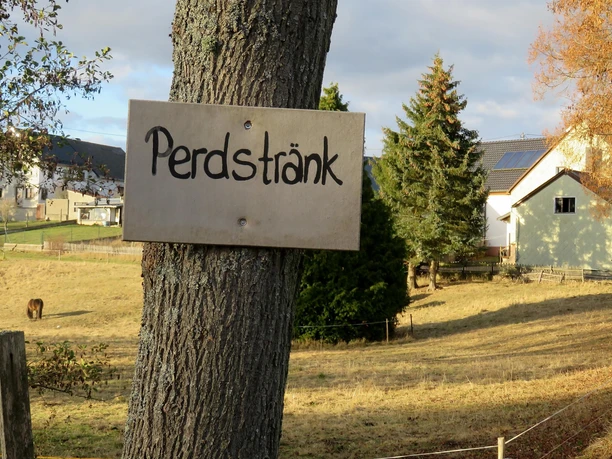 Getränkestopp für Esel, Pferd und co Getränkestopp für Esel, Pferd und co