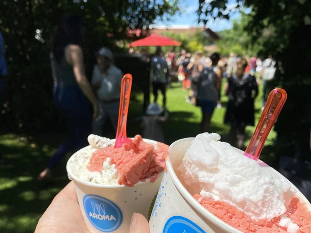 Erdbeerfest Dagobertshausen