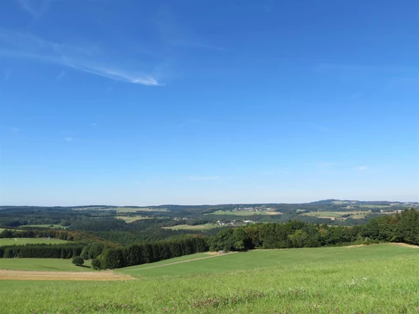 Ausblick