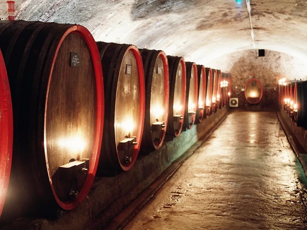 Weingut Lanius-Knab_Gewoelbekeller_Fuehrung_Weinpr