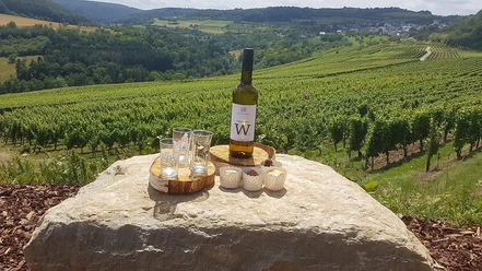 Weingut Biewers Tawern-Fellerich