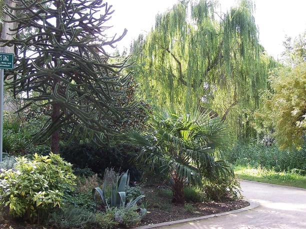 Stadtpark Deidesheim 1